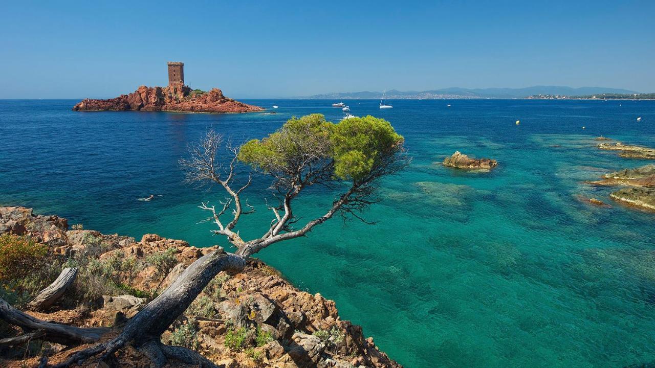 Appartement Zen A Frejus Avec Jardin, Piscine, Tennis, Proche Mer Buitenkant foto